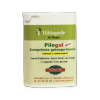 Pilogal+ - boite de 100 comprimés galanga/fenouil - 25g - Posch